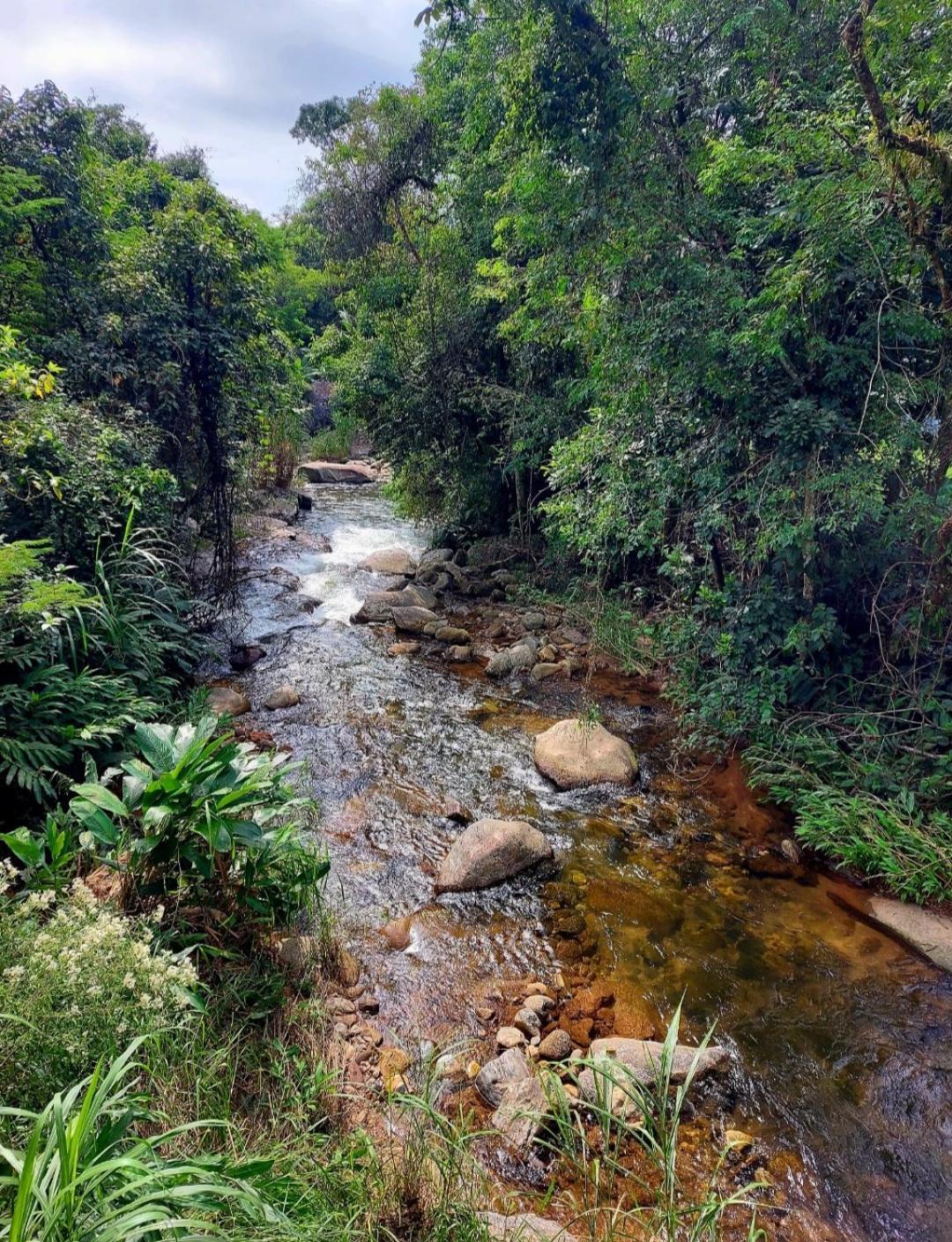 Pousada Sitio Monte Sinai São José do Barreiro Екстериор снимка