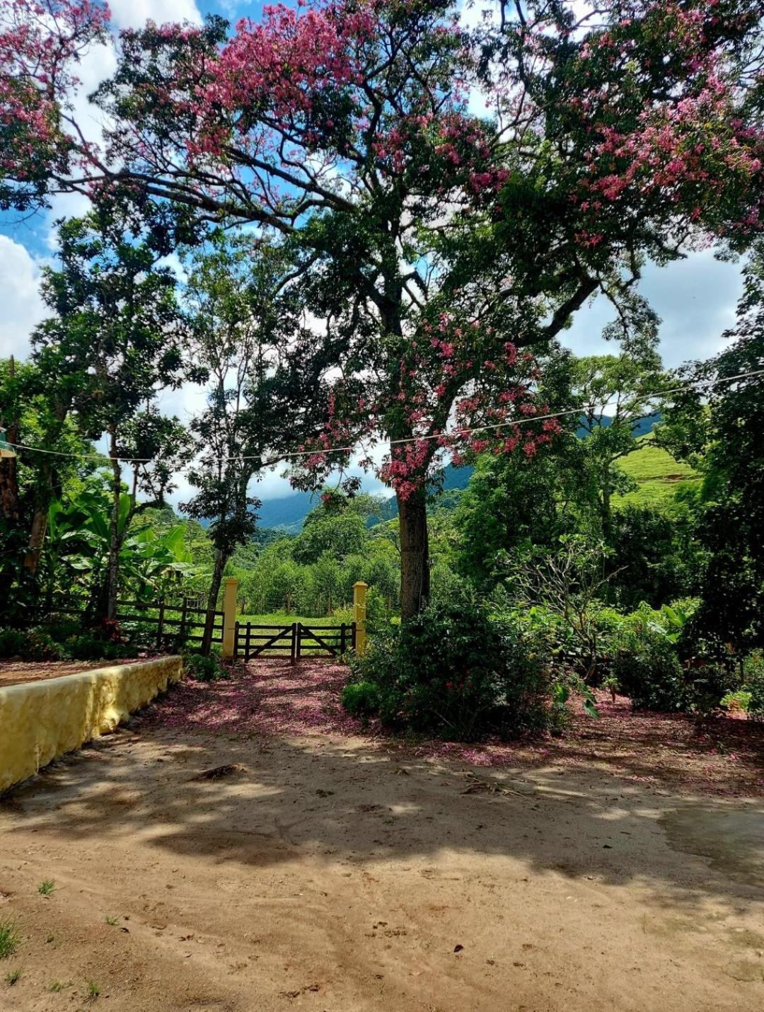 Pousada Sitio Monte Sinai São José do Barreiro Екстериор снимка